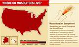 Mosquito Treatment Companies Images