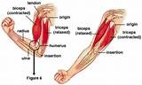 Joint Muscle Exercise