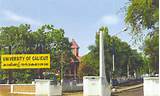 Images of University Of Calicut Degree Online Application