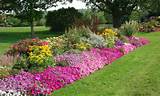 Pictures of Perennial Flower Garden