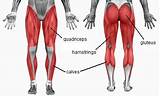 Pictures of Quadriceps Workout At Home