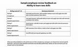 Year End Performance Review Employee Comments Examples Photos