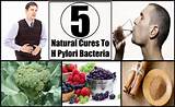 H Pylori Bacteria Home Remedies Photos