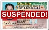 Check And See If License Is Suspended Pictures