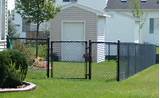 Yard Dog Landscaping Knoxville Photos