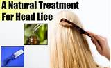 Images of Lice Prevention Home Remedies
