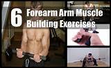 Photos of Muscle Building Easy Exercises