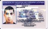 Florida Concealed License