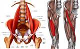 Pictures of Hip Muscle Strengthening