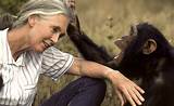 Doctor Jane Goodall Images