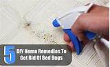 Photos of How To Get Rid Of Bed Bugs Medicine