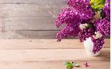 Images of Lilac Flowers In Vase