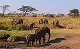 Where Is The Serengeti National Park