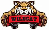 Wildcats School