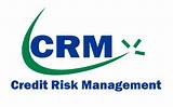 Pictures of Credit Risk Management Tools Include