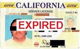 Pictures of Expired License Ticket
