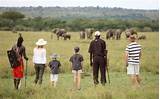 Family Safari Packages Images