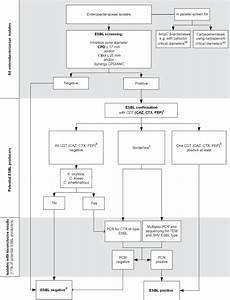 Evaluation Of A Diagnostic Flow Chart For Detection And Confirmation Of