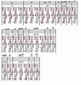 B Flat Clarinet Chart Music Theory Pinterest Clarinets