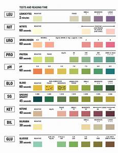 Urinalysis Test Color Chart Medical Lab Technician Medical