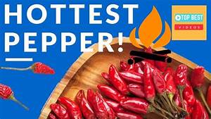  Pepper In The World Chart Topbestvideostamil Stuffed 