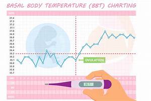 Implantation Dip On Bbt Chart