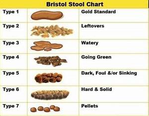 The Bristol Stool Chart The Bristol Stool Chart Guide