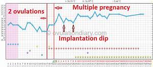 Two Ovulations Causes And Symptoms Examples Of Bbt Charts
