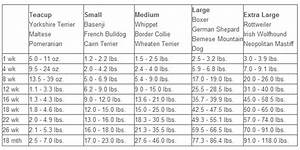 Puppy Growth Charts And Calculators How Big Will My Puppy Get Mini