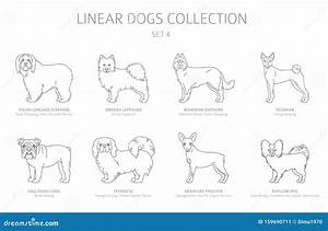 Simple Line Dogs Collection Isolated On White Dog Breeds Stock Vector