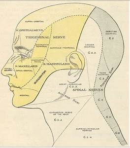 Facial From Various Sources Diagnoses And Differential Diagnoses