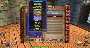 Newest Pet R Wizard101