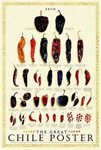 Chili Art By Denverchili 232 Art Ideas To Discover On Pinterest