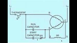 Copeland Potential Relay Wiring Diagram Run Capicator For