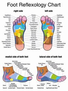 31 Printable Foot Reflexology Charts Maps ᐅ Templatelab