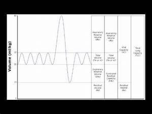 Lung Volumes Lung Capacity Youtube