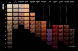 Cellophane Hair Color Chart