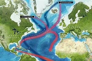 What Is The Future Of The Gulf Stream Circulation