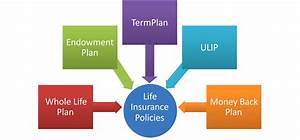 Types Of Life Insurance Policies In India Comparepolicy