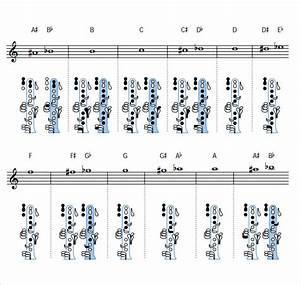 Free 15 Sample Clarinet Chart Templates In Pdf