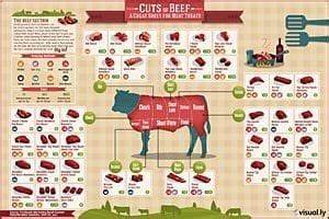 44 Beef Meat Cuts Diagram Salvadorreva