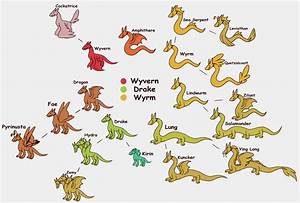 Dragon Species Chart By Drmememedic On Deviantart