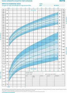 Boys Growth Chart Template Free Download Speedy Template