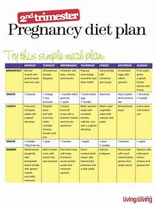 Pregnancy Diet Plan Pdf Trish Proctor