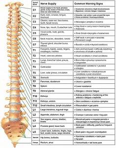 Chiropractic Care Chronic Condition Treatment Weirton Wv