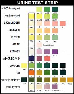 What Is The Normal Range For Glucose In Urine Yellow Glucose Level 30