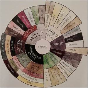 Coffee Defect Flavor Tasters Wheel Coffee Infographic Coffee Nerd