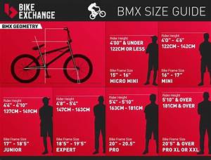 Mini Bike Tire Size Chart Greenbushfarm Com