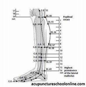 Calf Acupressure Points Leg Chart