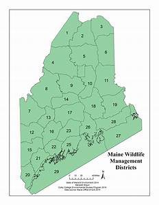 Maine Hunting Zones Map With Towns